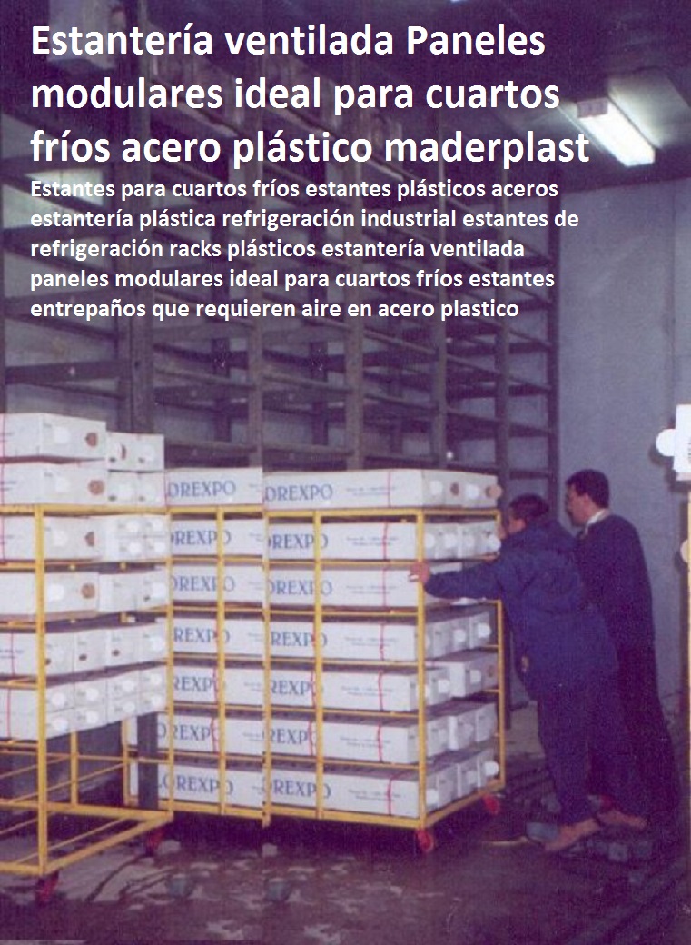 Estantes para cuartos fríos estantes plásticos estantería plástica refrigeración industrial estantes de refrigeración racks plásticos estantería ventilada paneles modulares ideal para cuartos fríos estantes entrepaños que requieren aire 0 Estantes para cuartos fríos estantes plásticos estantería plástica refrigeración industrial estantes de refrigeración racks plásticos estantería ventilada paneles modulares ideal para cuartos fríos estantes entrepaños que requieren aire 0 Estantes para cuartos fríos estantes plásticos estantería plástica refrigeración industrial estantes de refrigeración racks plásticos estantería ventilada paneles modulares ideal para cuartos fríos estantes entrepaños que requieren aire 0